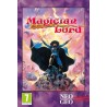 Magician Lord - Neo Geo
